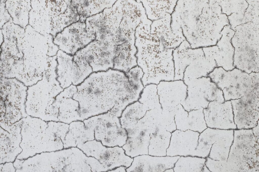 How to Prevent Salt and Chemical Damage on Concrete Surfaces